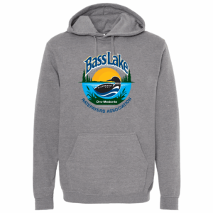 Heather Grey Hoodies (youth)